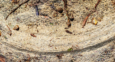 Detailed close up view on high resolution sand surfaces 