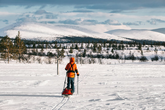 Anonymous Adventurer Ski Hiking With Sled Through Lapland
