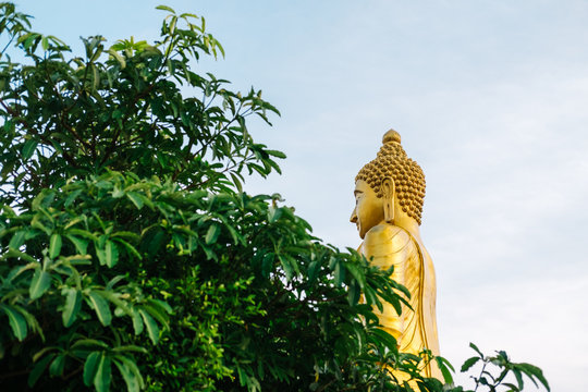 Buddha