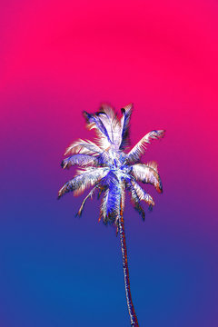 Palm Tree With Abstract Glitch Effect