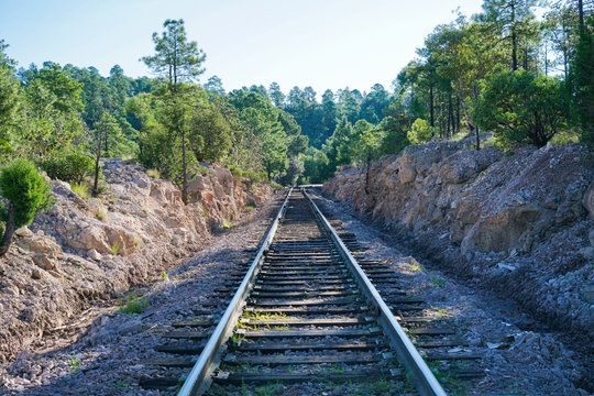 Railway in the forest