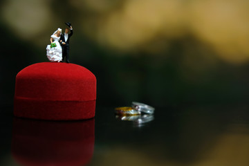 Miniature wedding concept - bride and groom walking on shiny floor and bokeh light background
