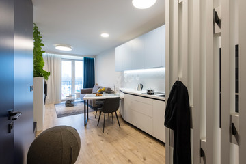 Modern kitchen interior of small apartment