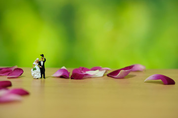 Miniature photography - outdoor marriage wedding concept, bride and groom walking on red white rose flower pile 