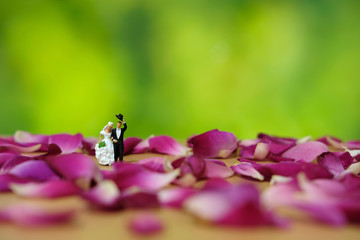 Miniature photography - outdoor marriage wedding concept, bride and groom walking on red white rose flower pile 