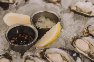 Fresh oysters close-up on plate with ice
