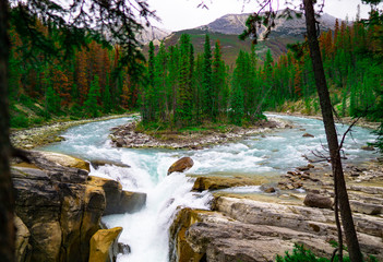 Double River Flows Into Amazing Waterfall In Beautiful Scenic Nature Forest in Mountains In Canada Sunwapta Falls