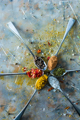 Spoons with spices (pepper, salt, paprika, cumin, oregano and dried chili)