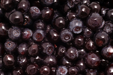 Background of fruits of the blueberries. Fresh food in macro.