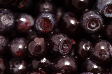 Background of fruits of the blueberries. Fresh food in macro.