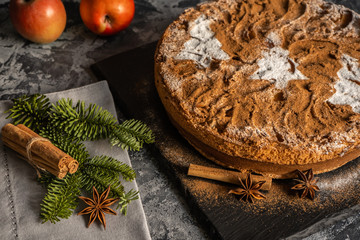 Apple pie with cinnamon on the table, Christmas fir branch on the table with cinnamon sticks and star anise