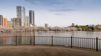 Japan, Tokyo, Ueno Park panorama