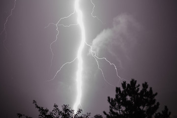 lightning over tree