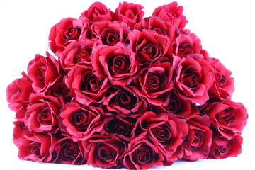 Red roses isolated on white background