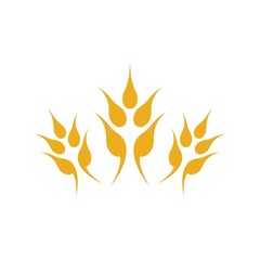 Wheat logo vector icon