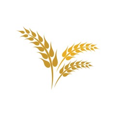 Wheat logo vector icon