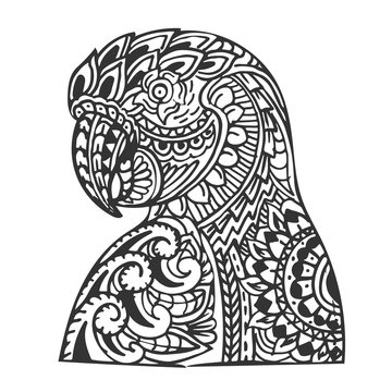 Hand drawn zentangle parrot head for coloring book page