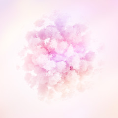 Fototapeta premium Cloud isolated, steam, smoke. 3d illustration, 3d rendering.