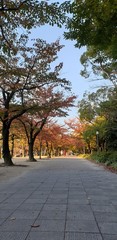  Hyōgo Prefecture/Japan - November 2019 : Beautiful scenery of Koko-en garden which is located next to Himeji Castle