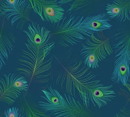 Washable Wallpaper Murals Peacock Fashionable template for design of clothes. Tails of peacocks . Embroidery peacock feathers seamless pattern