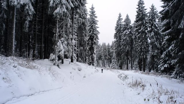 Skiing at the Rennsteig in winter a famous hiking path at the Thuringian Forest