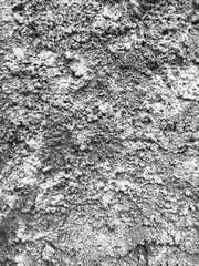 Dark wall texture for grunge background. Suit for mockup wallpaper.