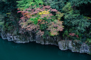 渓谷の紅葉