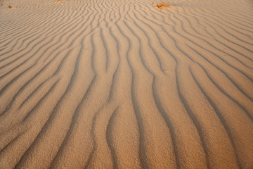 Beach desert sand wave, sand mark, background