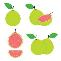 Guava Fruit Vector Design Illustration 