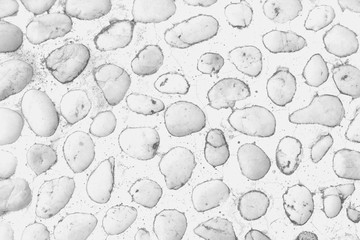 Floor gravel pebble stone on concrete ground background or fence texture made of a close up of medieval stone.