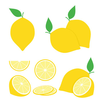 Lemon Vector Set Design Illustration