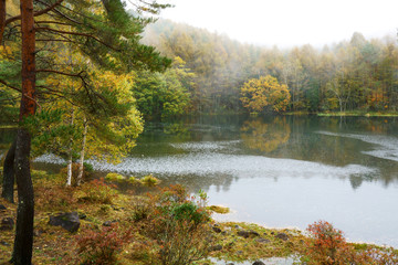 Fototapeta na wymiar 霧がたたずむ秋の森と池　-　御射鹿池、日本