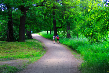 Fototapeta premium People walk along the road in the park