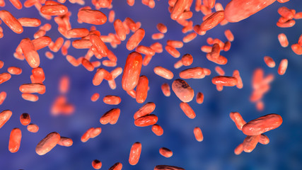 Bacteria Bordetella parapertussis, the causative agent of whooping cough-like disease, 3D illustration