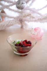 Red Fruit Medley which is German compote with Mint icecream