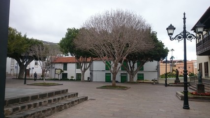 Fototapeta premium Tenerife - Arona - Canary islands - Teneryfa