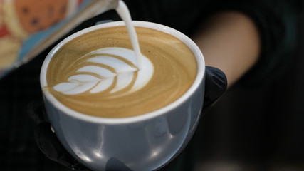 Barista at work. The process of making coffee and cacao. A glass of foaming milk. Electric Grinder Grinds Coffee Beans In Filter Holder.
