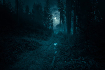 Footpath in the dark, foggy, mysterious forest. Full moon on the sky with reflection in the puddle...