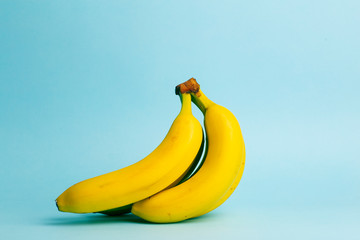 Bananas on a blue pastel background. A branch of fresh bananas. Minimal food concept