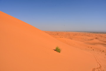  Merzouga Erg Chebbi dunes, Morocco