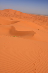 Fototapeta na wymiar Merzouga Erg Chebbi dunes, Morocco