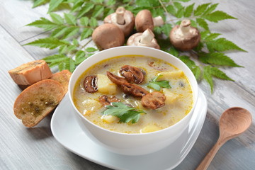 Delicious soup with mushrooms champignon and potato.Creamy Chanterelle Soup .Nordic cuisine. Vegan soup