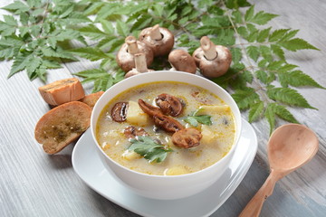 Delicious soup with mushrooms champignon and potato.Creamy Chanterelle Soup .Nordic cuisine. Vegan soup