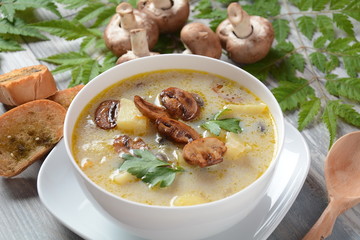 Delicious soup with mushrooms champignon and potato.Creamy Chanterelle Soup .Nordic cuisine. Vegan soup
