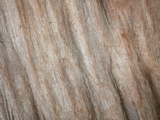 Abstract natural brown wood texture background