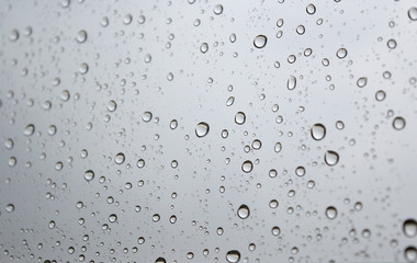 Drops of rain on the window