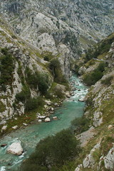 Valley of Rio Cares at hiking track Ruta del Cares from Poncebos to Cain in Picos de Europa in Asturia,Spain,Europe