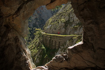 Hiking track Ruta del Cares from Poncebos to Cain in Picos de Europa in Asturia,Spain,Europe - obrazy, fototapety, plakaty