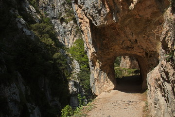 Hiking track Ruta del Cares from Poncebos to Cain in Picos de Europa in Asturia,Spain,Europe