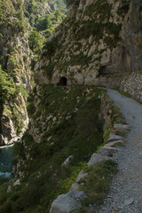 Fototapeta na wymiar Hiking track Ruta del Cares from Poncebos to Cain in Picos de Europa in Asturia,Spain,Europe